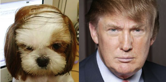 Twin Peeps?